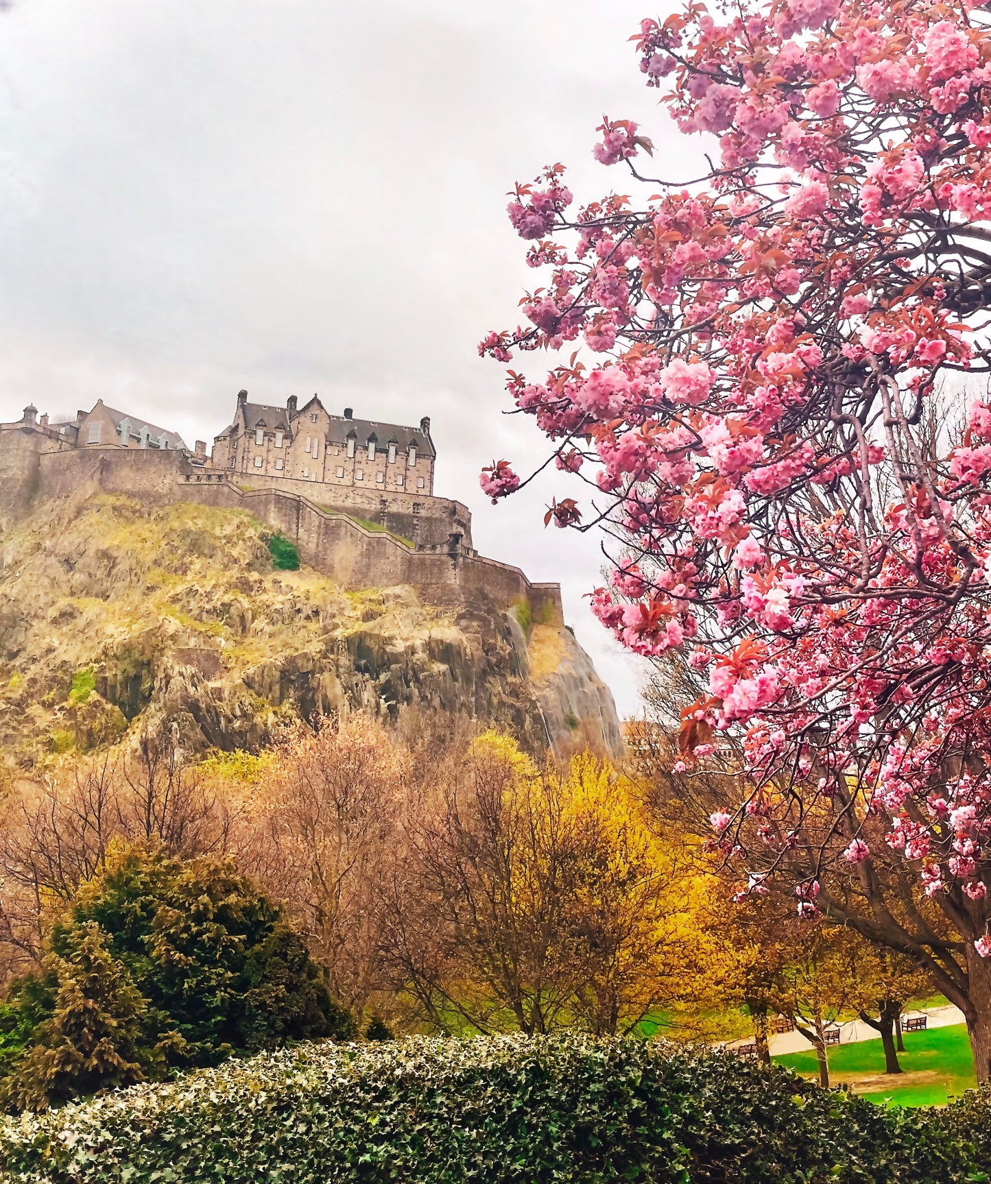 The Castle Rock